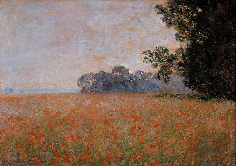 Campo de aveia com cascas - Claude Monet