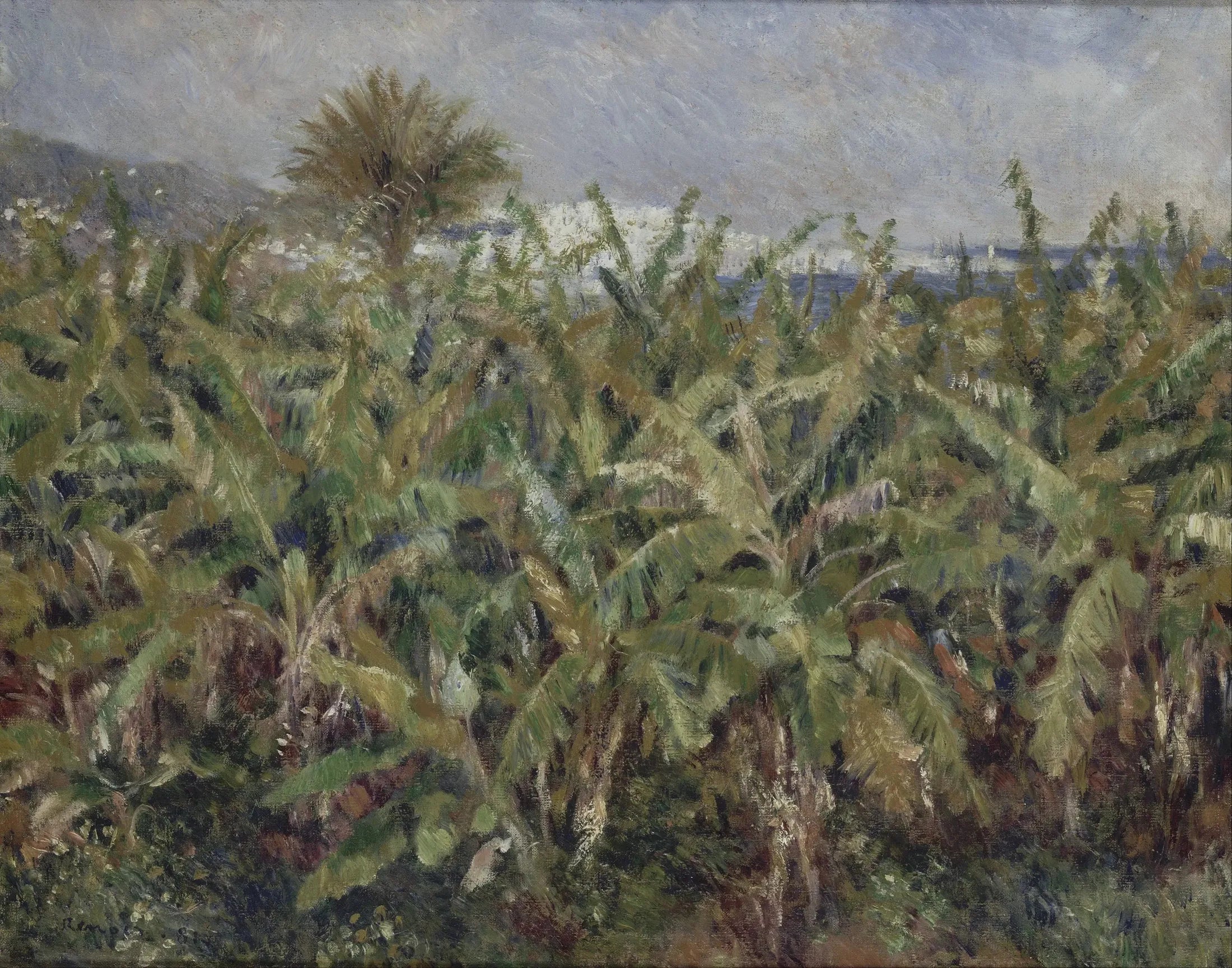 Reproduction du tableau « champ de bananes - Pierre-Auguste Renoir » par Alpha Reproduction en peinture à l’huile