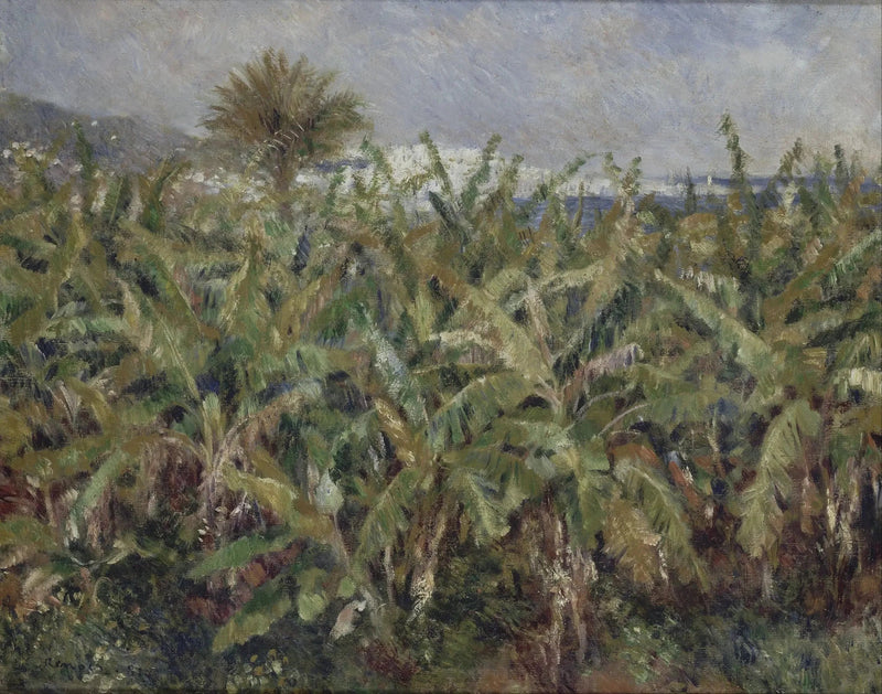 campo de bananas - Pierre-Auguste Renoir