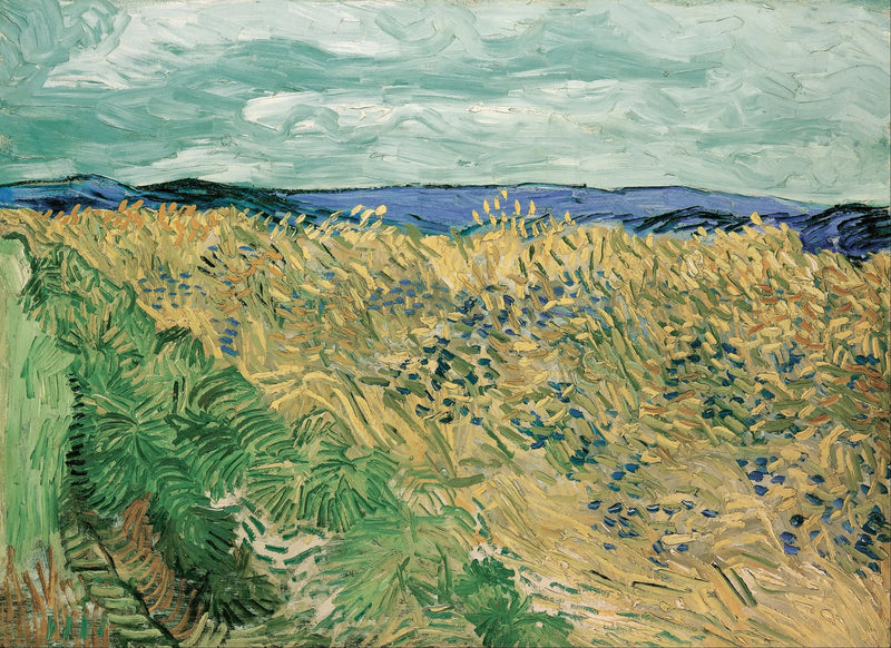 Campo de trigo com flores azuis - Vincent van Gogh