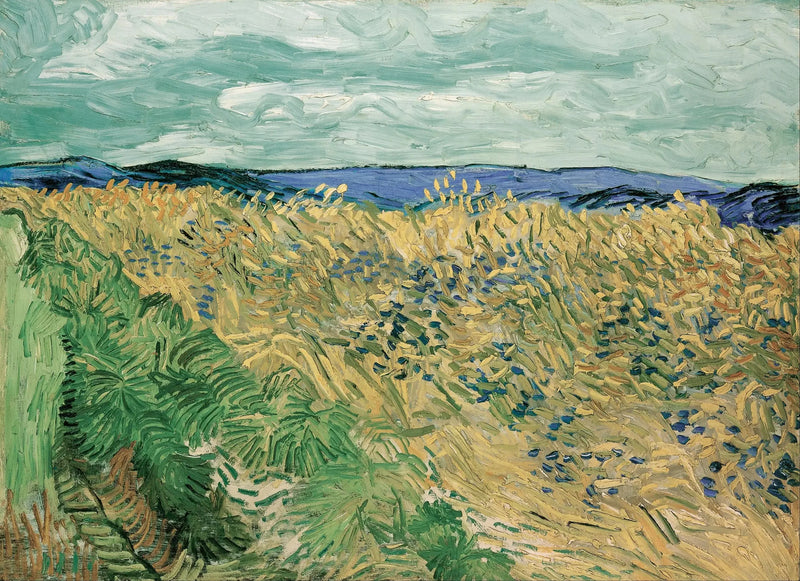 Campo de trigo com flores azuis - Vincent van Gogh