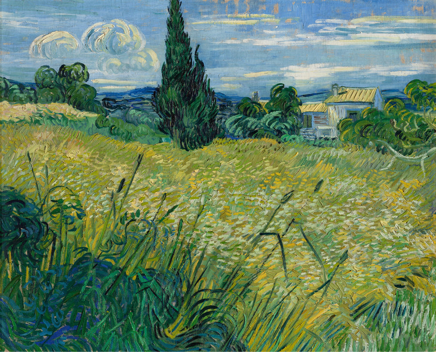 O Campo de trigo verde com ciprestes - Vincent van Gogh