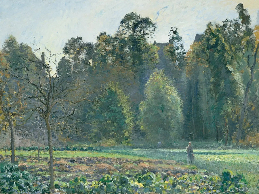 Campo de repolho, Pontoise - Camille Pissarro