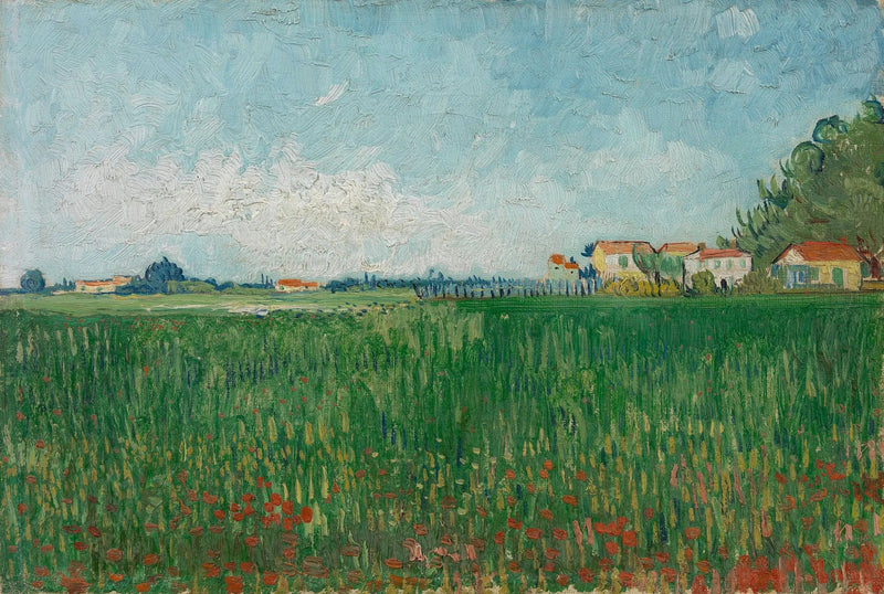 Campo de papoulas - Vincent van Gogh