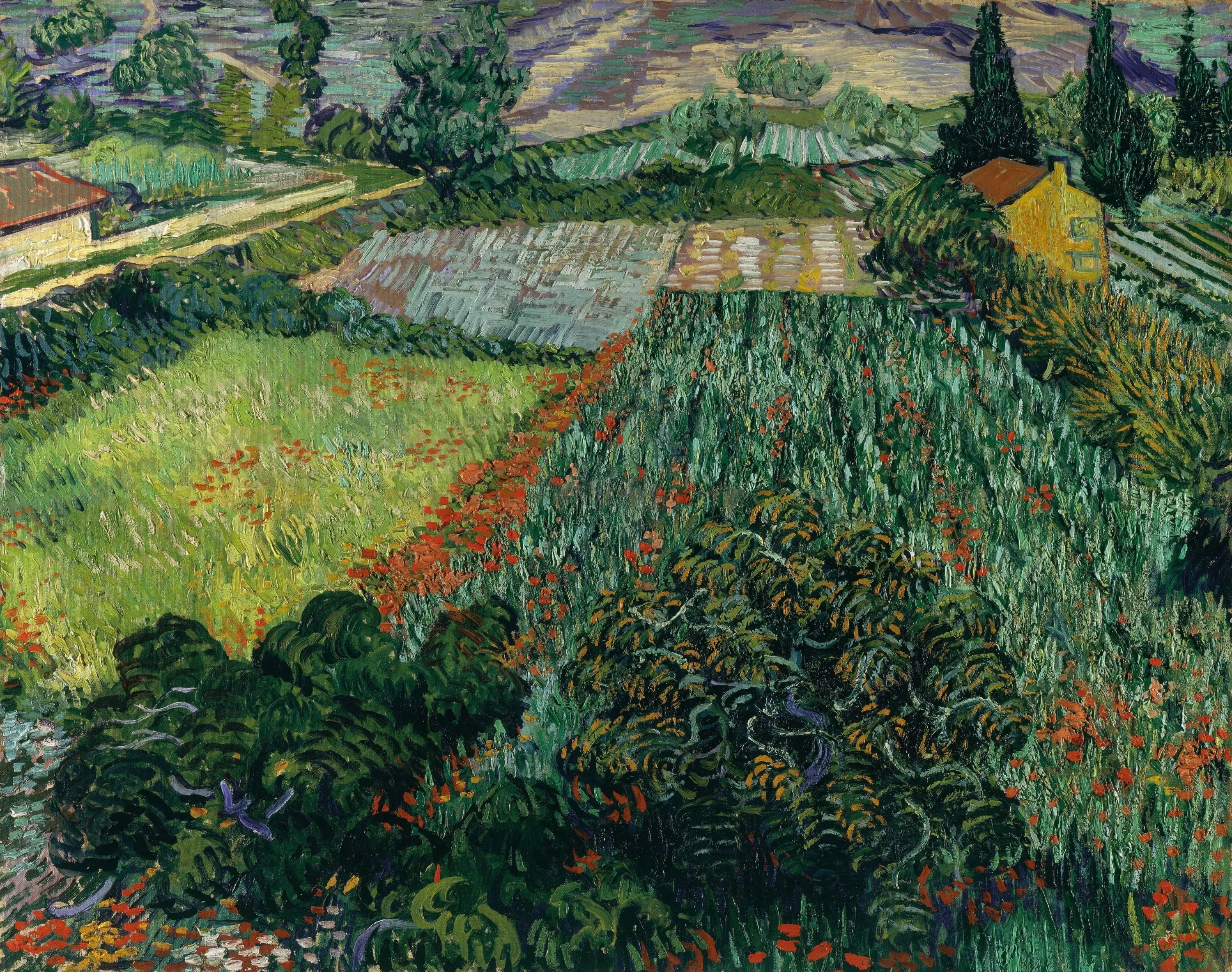 Reproduction du tableau « Champ de coquelicots - Vincent van Gogh » par Alpha Reproduction en peinture à l’huile