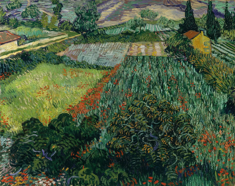 Campo de papoulas - Vincent van Gogh