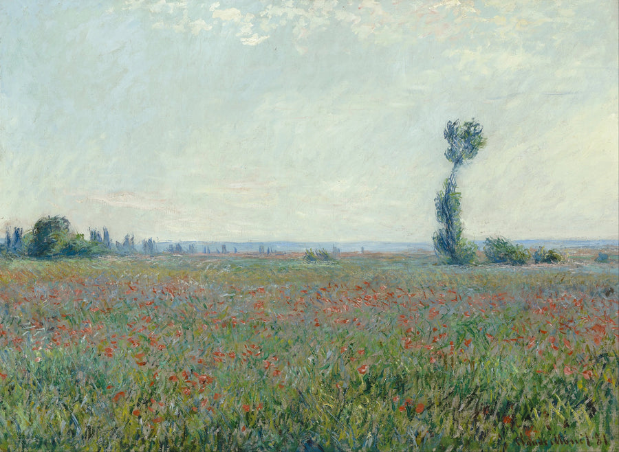 Campo de papoula W677 - Claude Monet