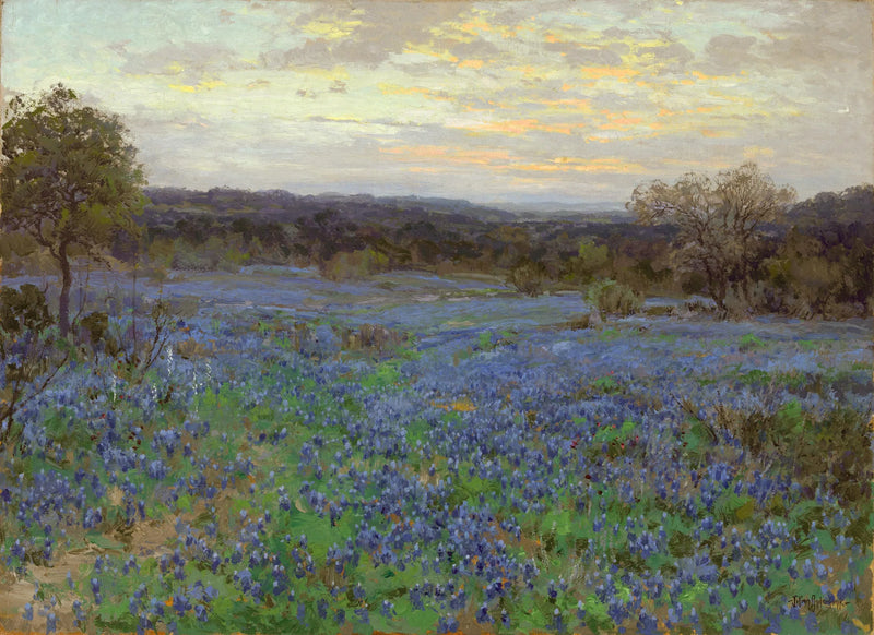 Campo de lupinos azuis ao pôr do sol - Julian Onderdonk