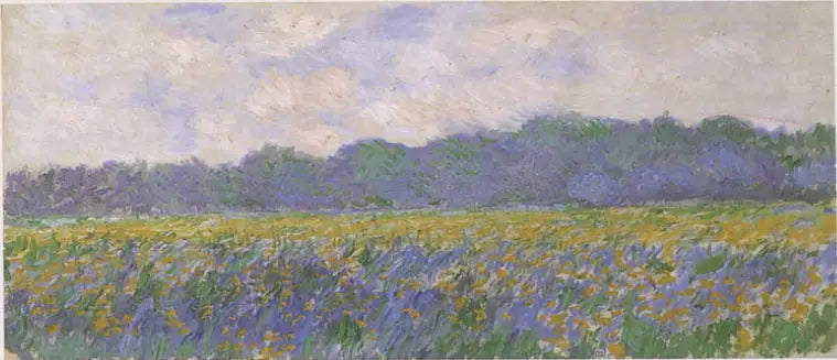 Campo de íris amarelas em Giverny - Claude Monet