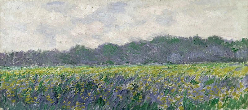 Campo de íris amarela em Giverny W1137 - Claude Monet