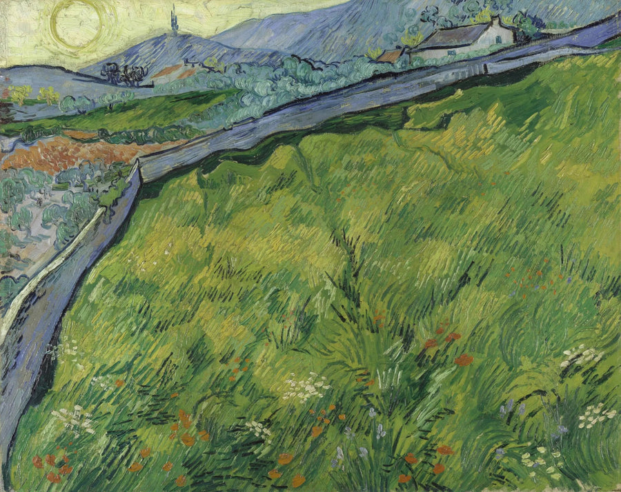 Campo de trigo na primavera ao nascer do sol - Vincent van Gogh