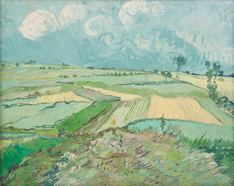 Campos de trigo após a chuva - Vincent van Gogh