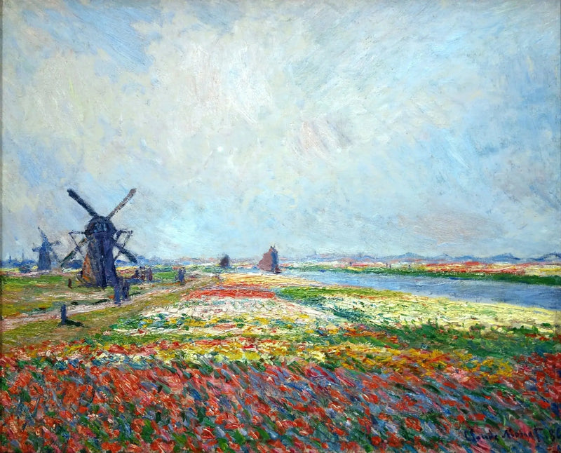 Campos de tulipas perto de Haia - Claude Monet