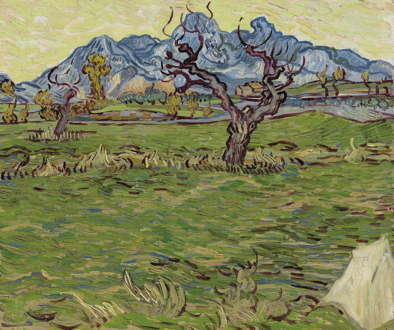 Campos perto das Alpilles - Vincent van Gogh