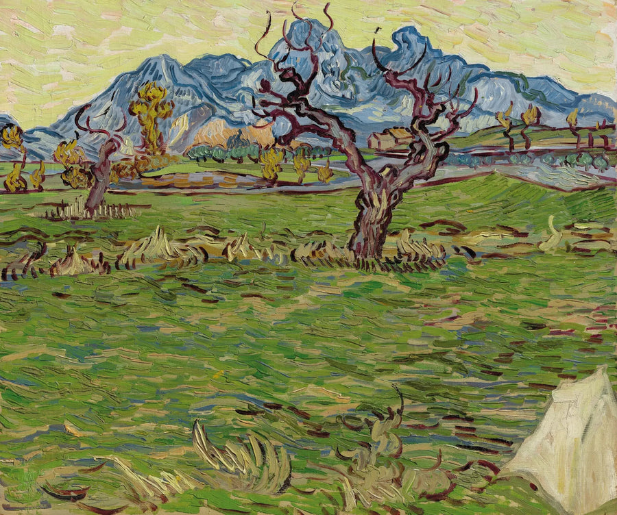 Campos perto das Alpilles - Vincent van Gogh