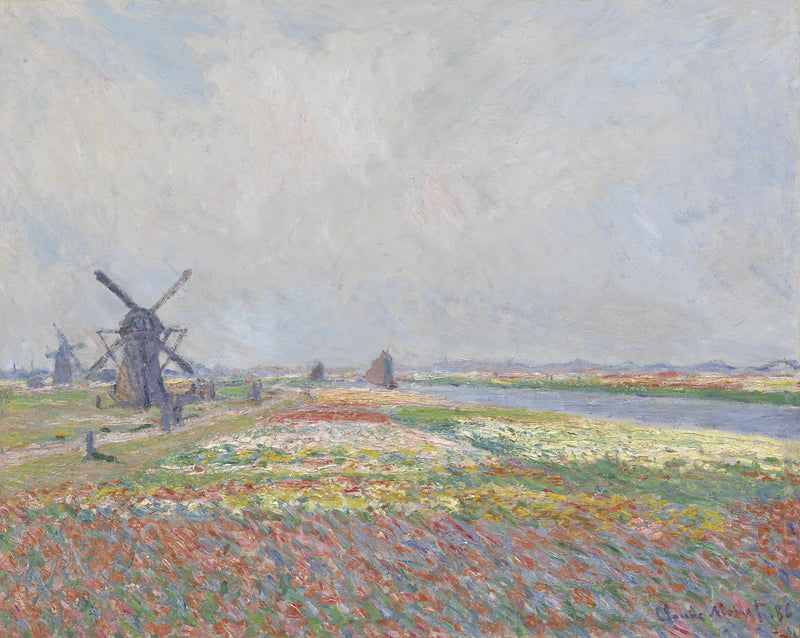 Campos de tulipas perto de Haia W1068 - Claude Monet
