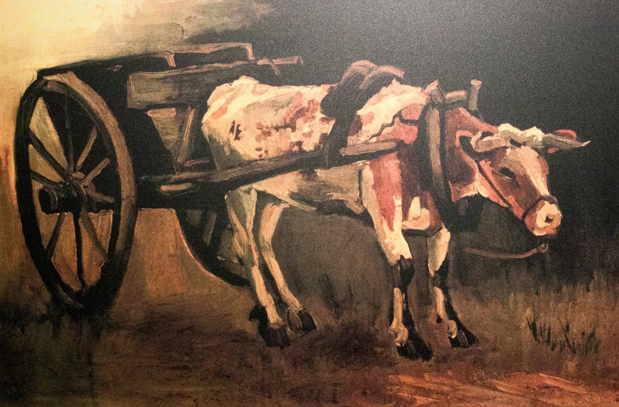 Carroça com boi vermelho e branco - Vincent van Gogh