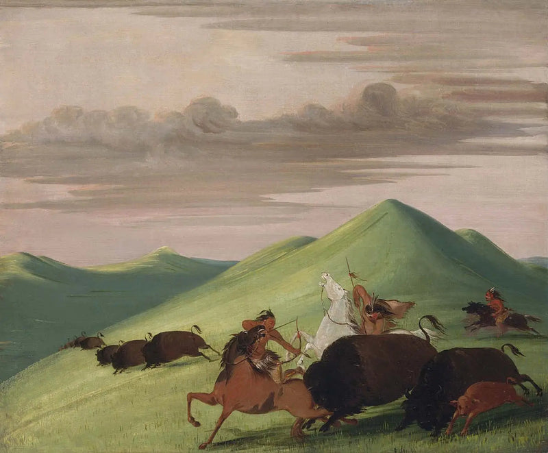 Caçada ao bisão, touro protegendo uma vaca e seu bezerro - George Catlin