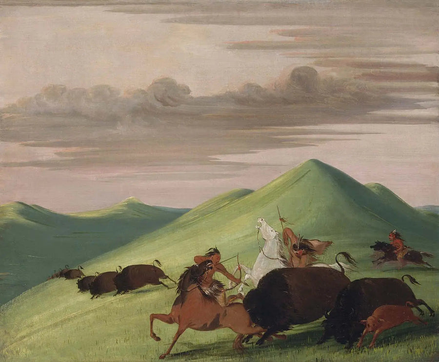 Caçada ao bisão, touro protegendo uma vaca e seu bezerro - George Catlin