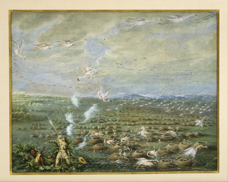 Caça aos flamingos na América do Sul - George Catlin