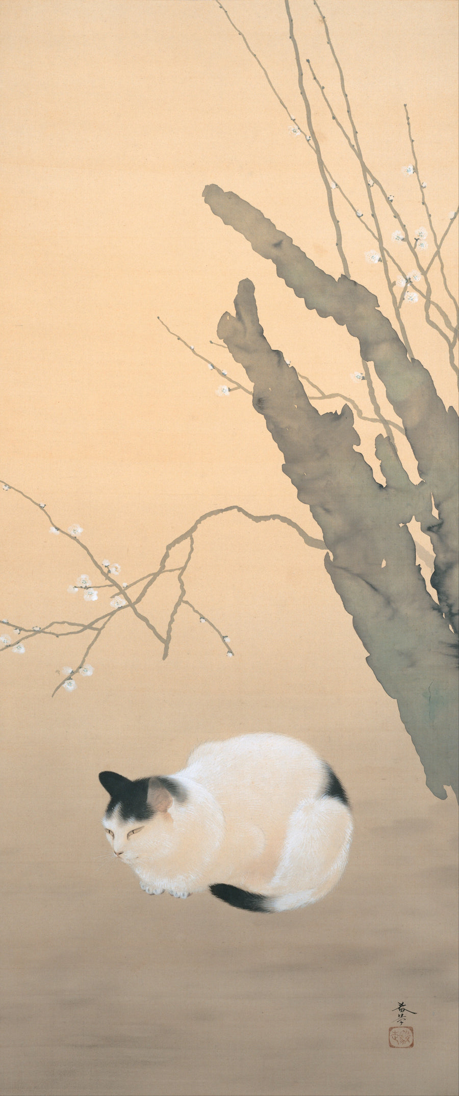 Chat et fleurs de prunier, Hishida Shunsō, 1906