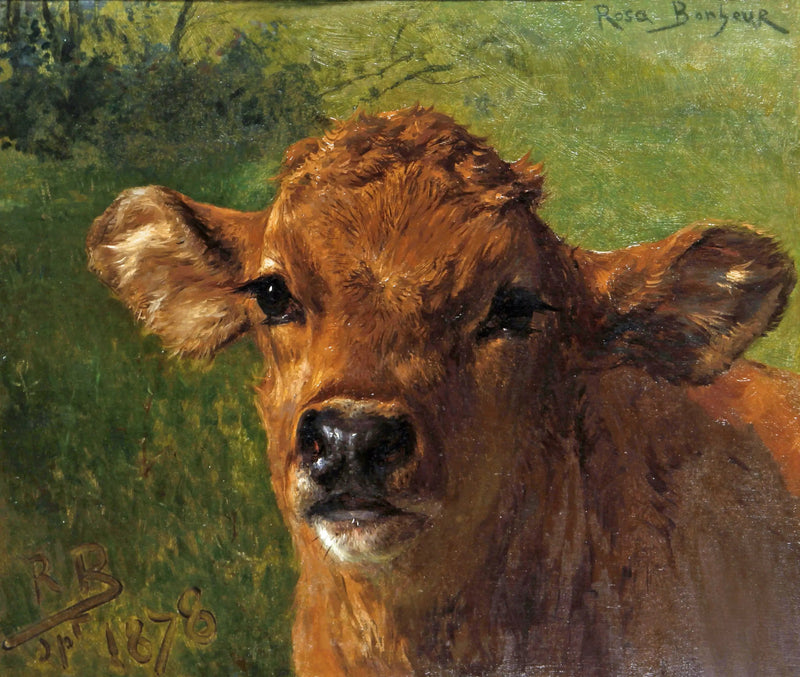 Chefe de um bezerro - Rosa Bonheur