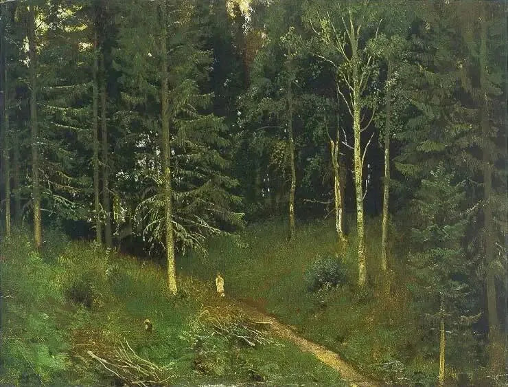 Caminho na floresta (floresta de abetos) - Ivan Chichkine