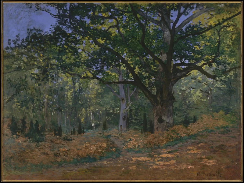 O Carvalho Bodmer, floresta de Fontainebleau W60 - Claude Monet