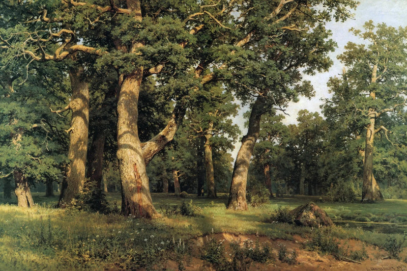 Bosque de Carvalho - Ivan Chichkine