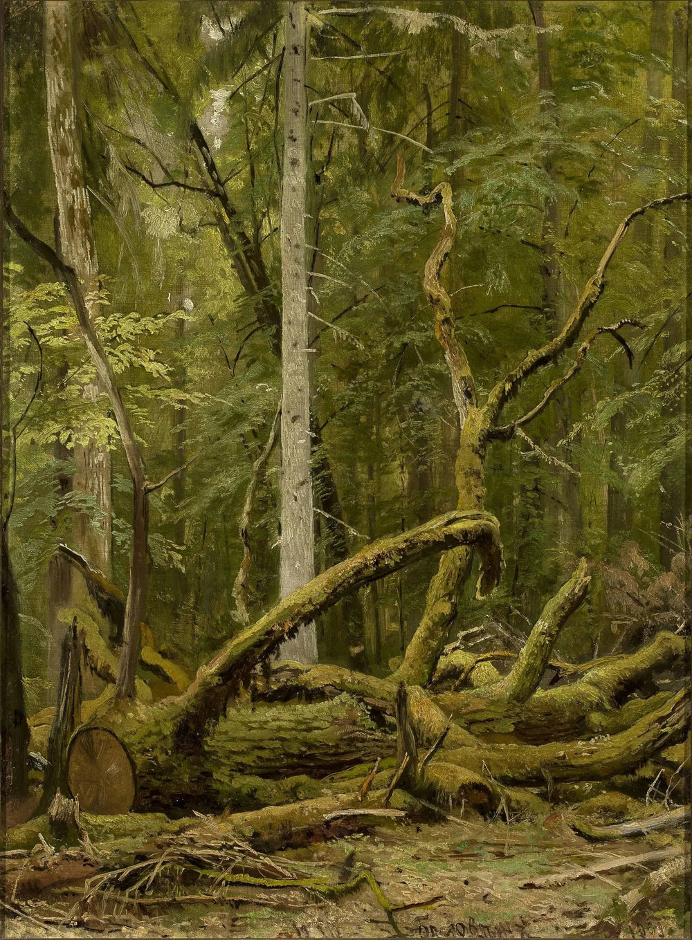 Chêne scié - Ivan Chichkine image 1 reproduction d’œuvre d’art à l’huile