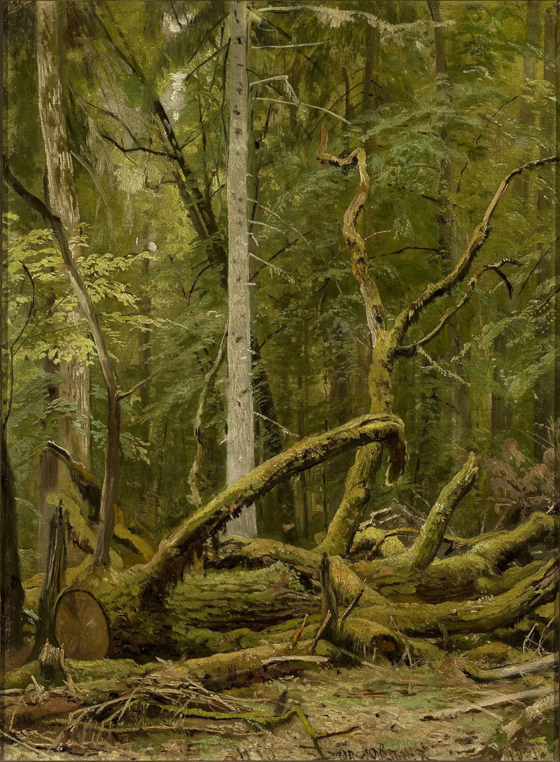Carvalho serrado - Ivan Chichkine