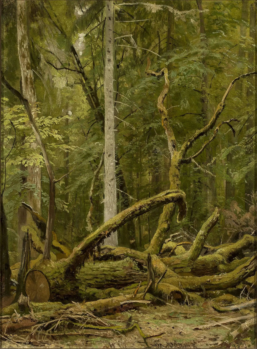 Carvalho serrado - Ivan Chichkine