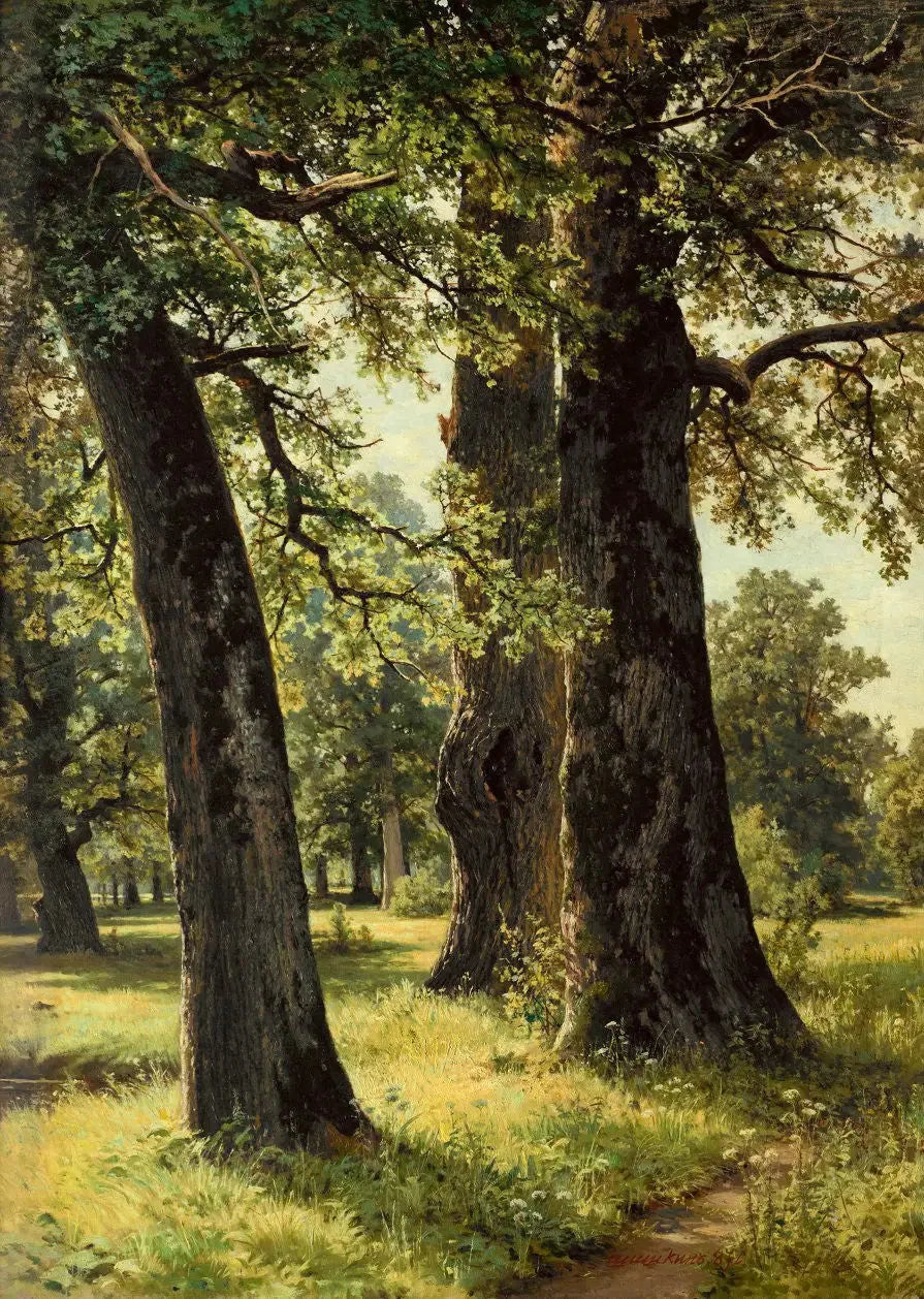 Carvalhos - Ivan Chichkine