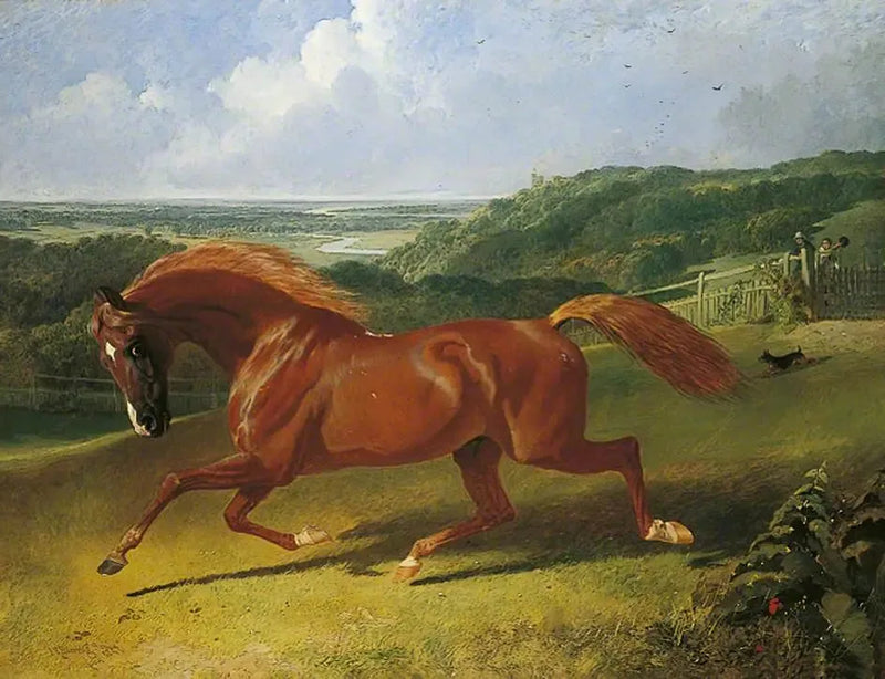 Cavalo galopando em um campo - John Frederick Herring, Sr.