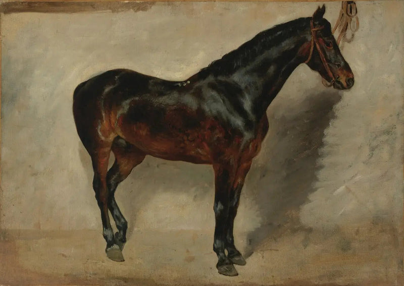 Cavalo baio-marrom amarrado - Eugène Delacroix