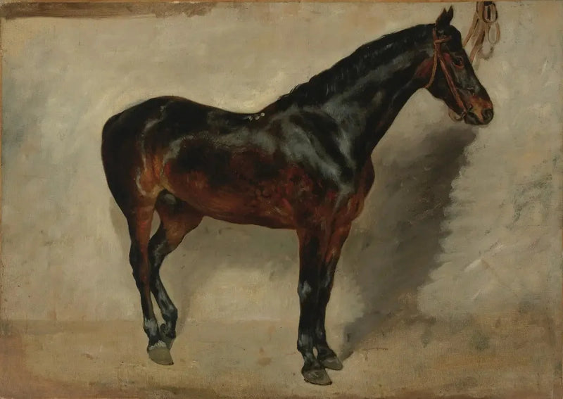 Cavalo baio-marrom amarrado - Eugène Delacroix