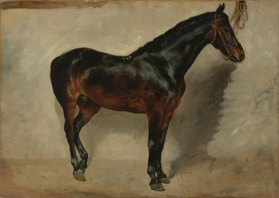 Cavalo baio-marrom amarrado - Eugène Delacroix