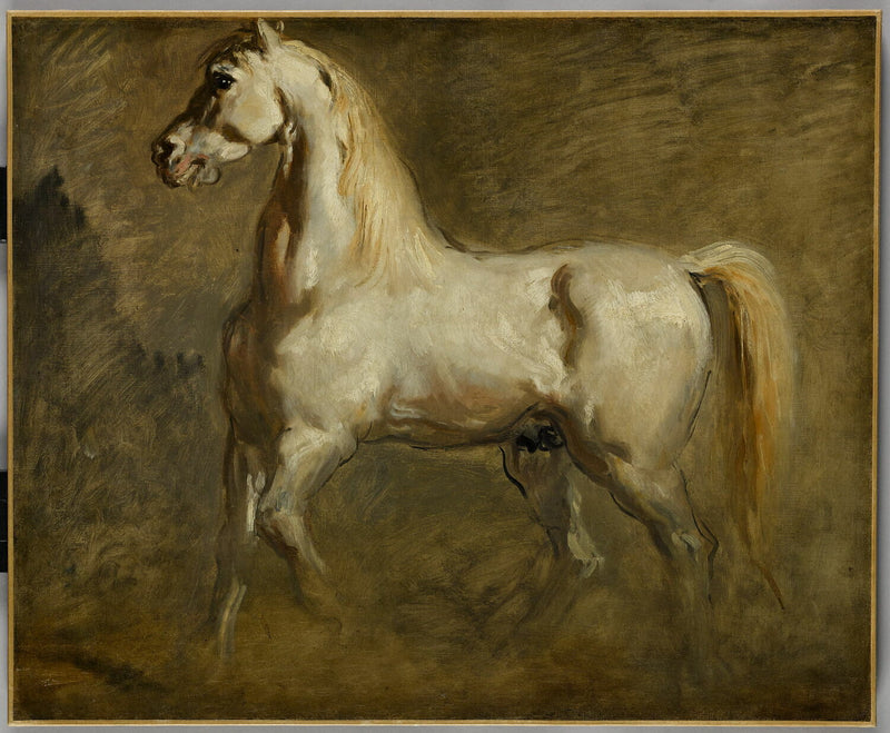 Cavalo branco de perfil à esquerda - Théodore Chassériau