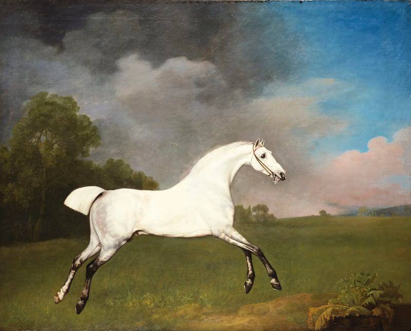 Cavalo cinza galopando em um campo - George Stubbs