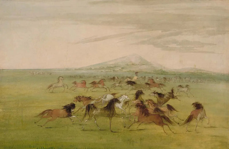 Cavalos Selvagens em Jogo - George Catlin