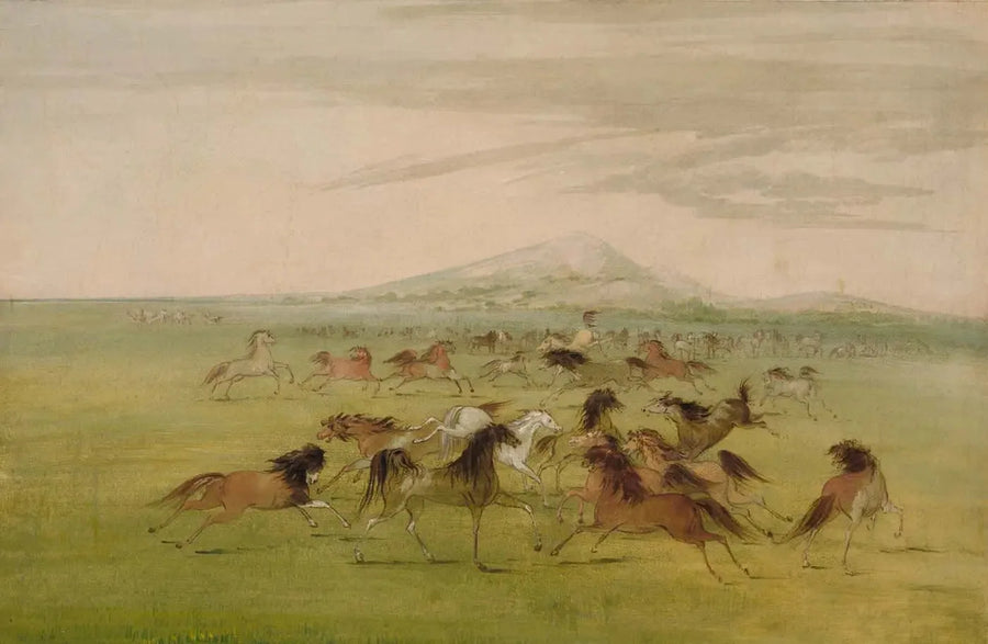 Cavalos Selvagens em Jogo - George Catlin