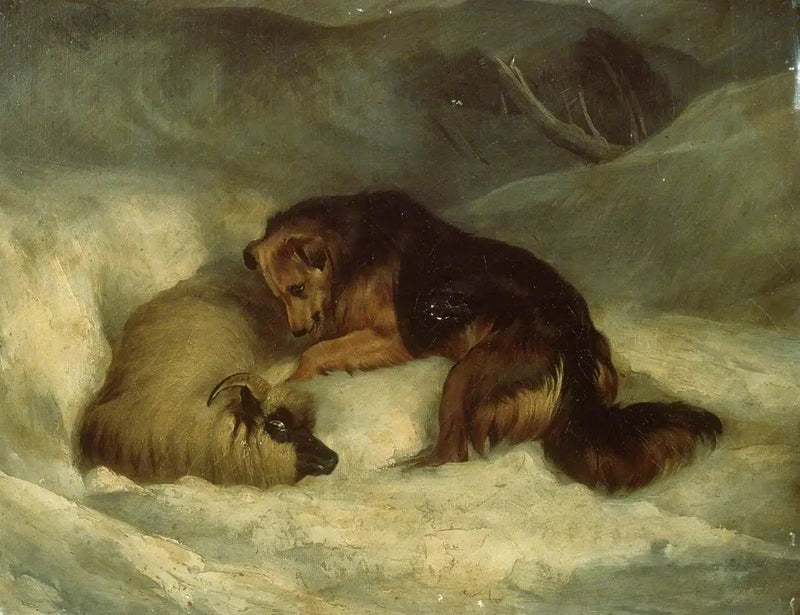 Cão pastor das Highlands na neve (antigamente conhecido como « Cão pastor salvando um carneiro de uma avalanche ») - Edwin Henry Landseer