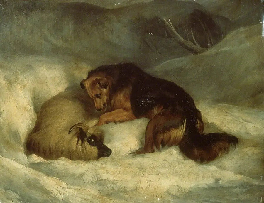 Cão pastor das Highlands na neve (antigamente conhecido como « Cão pastor salvando um carneiro de uma avalanche ») - Edwin Henry Landseer