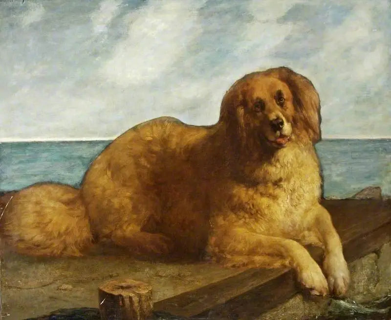 Cão - Edwin Henry Landseer