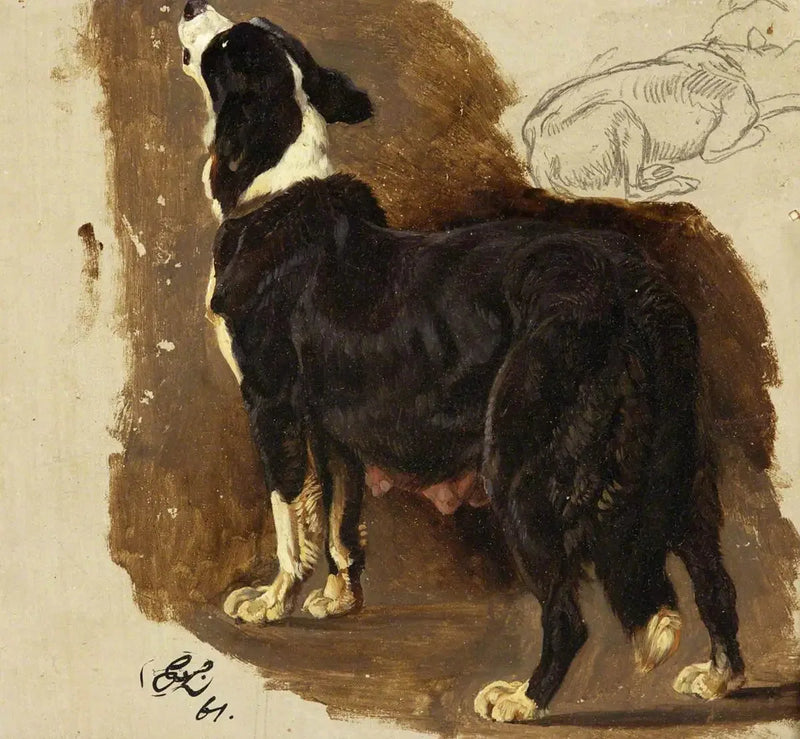 Cadela Colley - Edwin Henry Landseer