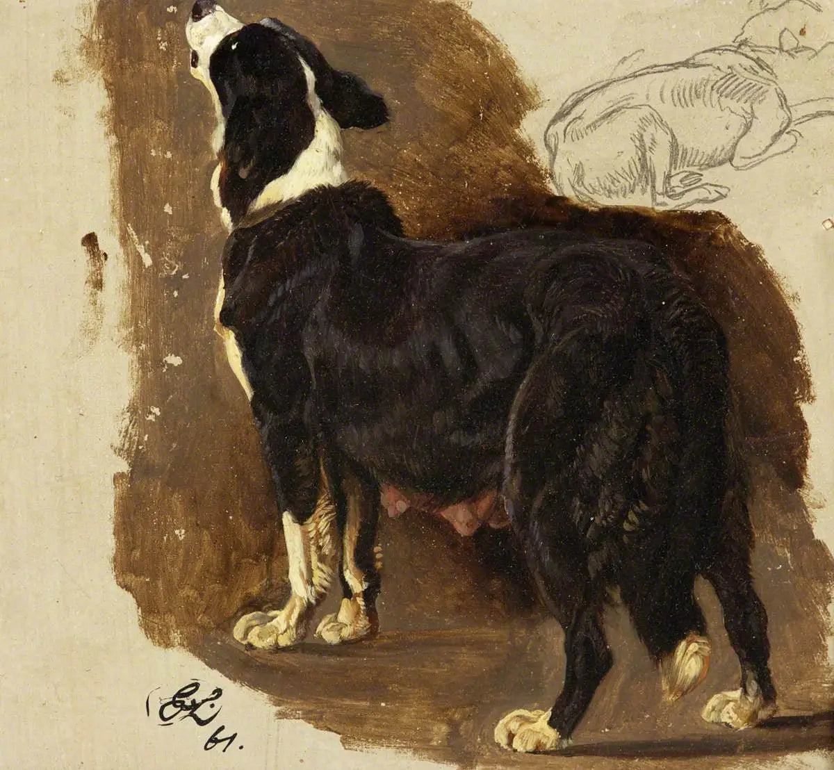 Chienne Colley - Edwin Henry Landseer - Alpha Reproduction