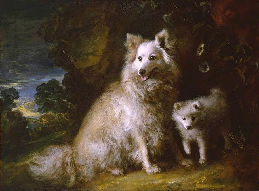 Cadela e filhote de pomeraniano - Thomas Gainsborough