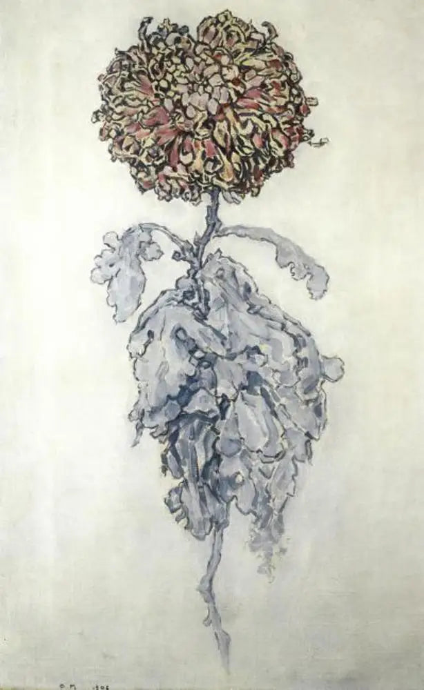 Crisântemo - Piet Mondrian