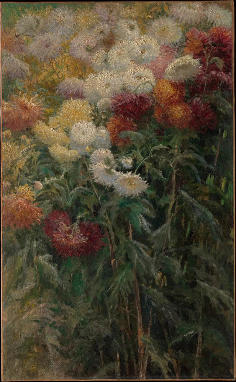 Crisântemos no jardim do Petit Gennevilliers - Gustave Caillebotte