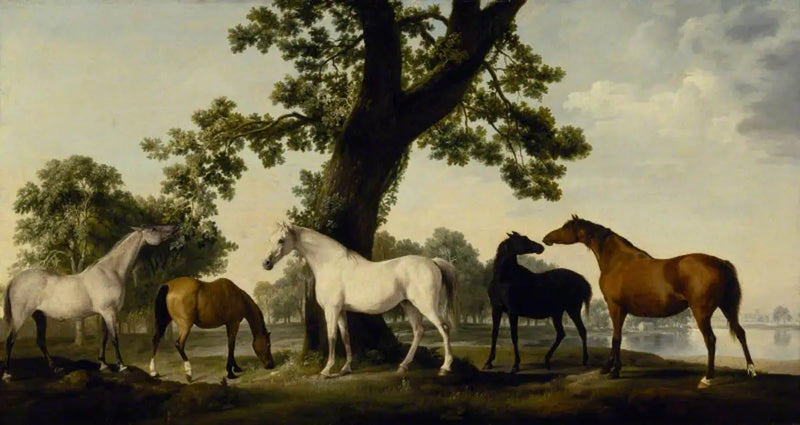 Cinco éguas na criação do duque de Cumberland no Grande Parque de Windsor - George Stubbs
